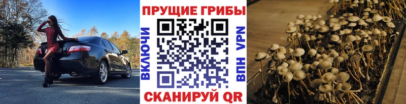 Галлюциногенные грибы мухоморы  купить  цена  blacksprut ссылки  Рыбное 
